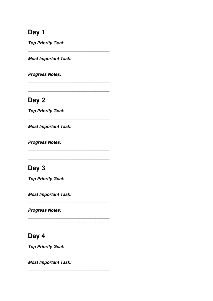 Actual workbook sample: page 2, with daily priority goal, most important task, and progress notes.