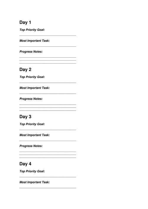 Actual workbook sample: page 2, with daily priority goal, most important task, and progress notes.